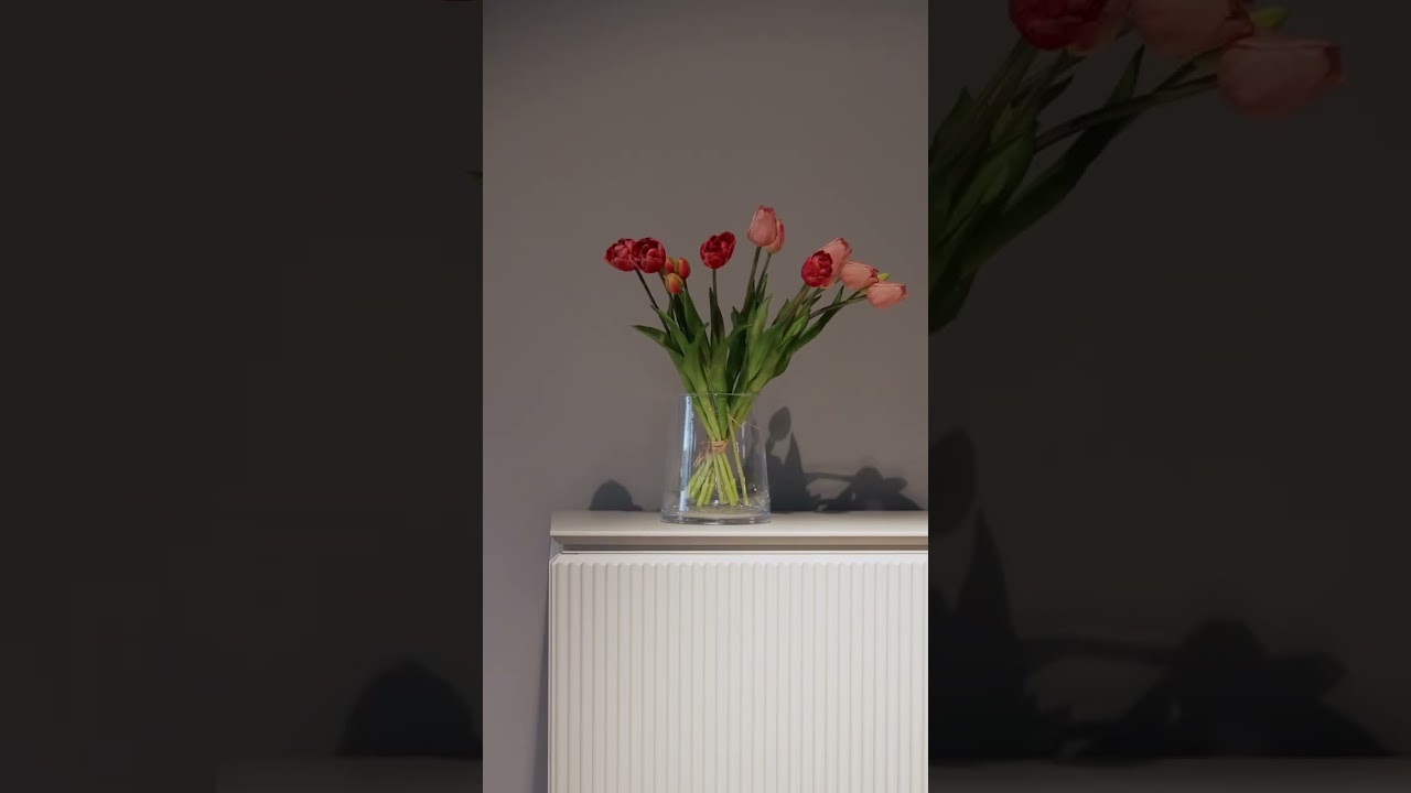 Domostudio