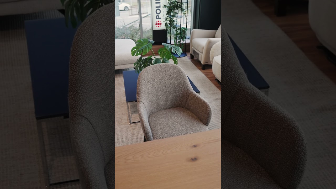 Domostudio