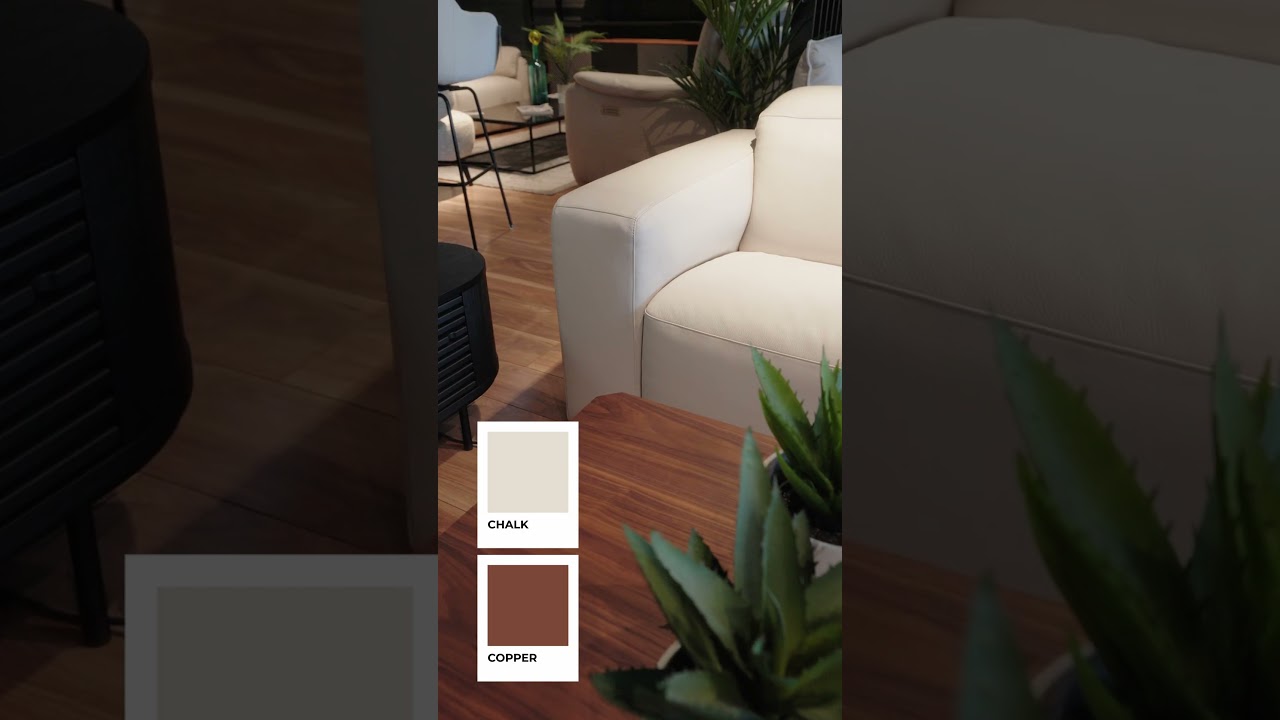 Domostudio