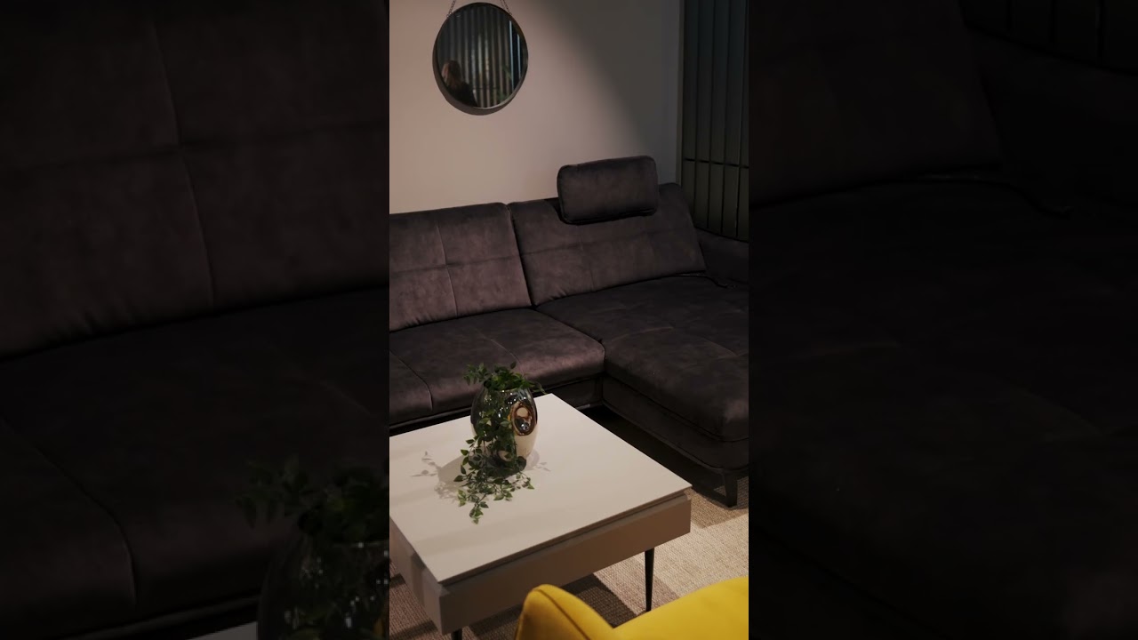 Domostudio